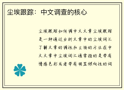 尘埃跟踪：中文调查的核心